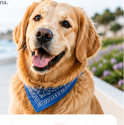A happy dog enjoying a day outdoors